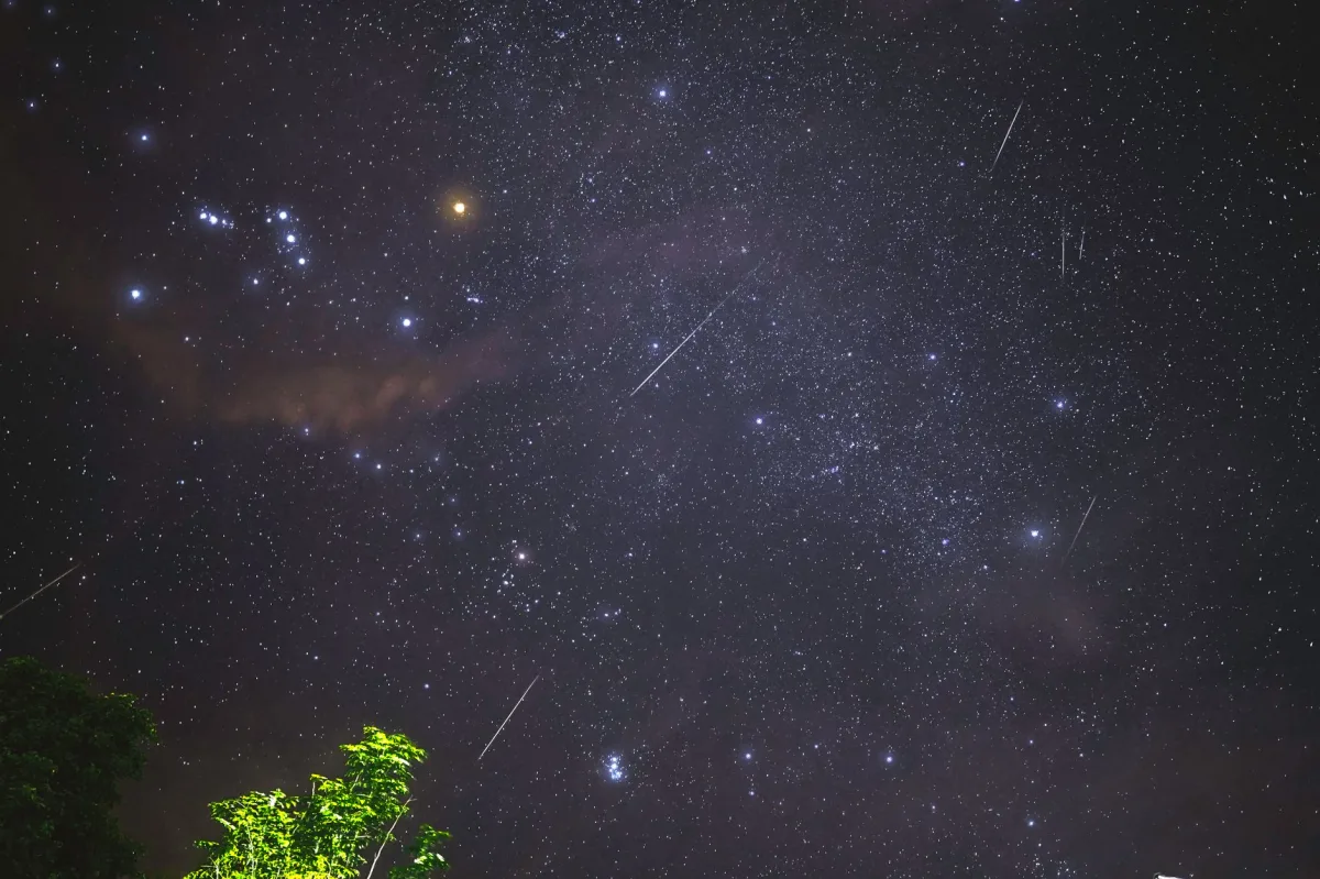 Understanding What Is a Meteorite: Science & Secrets
