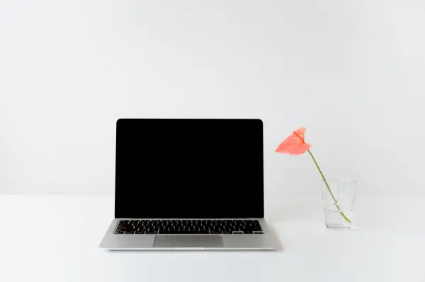 Chromebook vs Laptop: Which is Better for You in 2026?