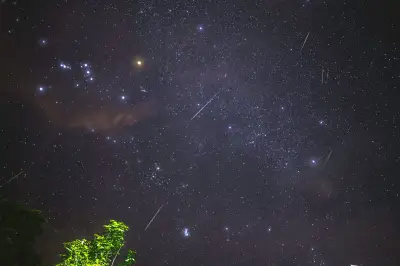 How Meteorites Are Discovered: 2026 Techniques & Insights